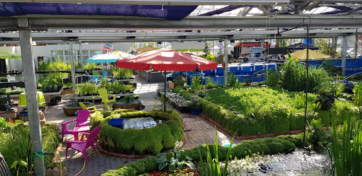 Gartenteich Braun GmbH unter Bochum, 