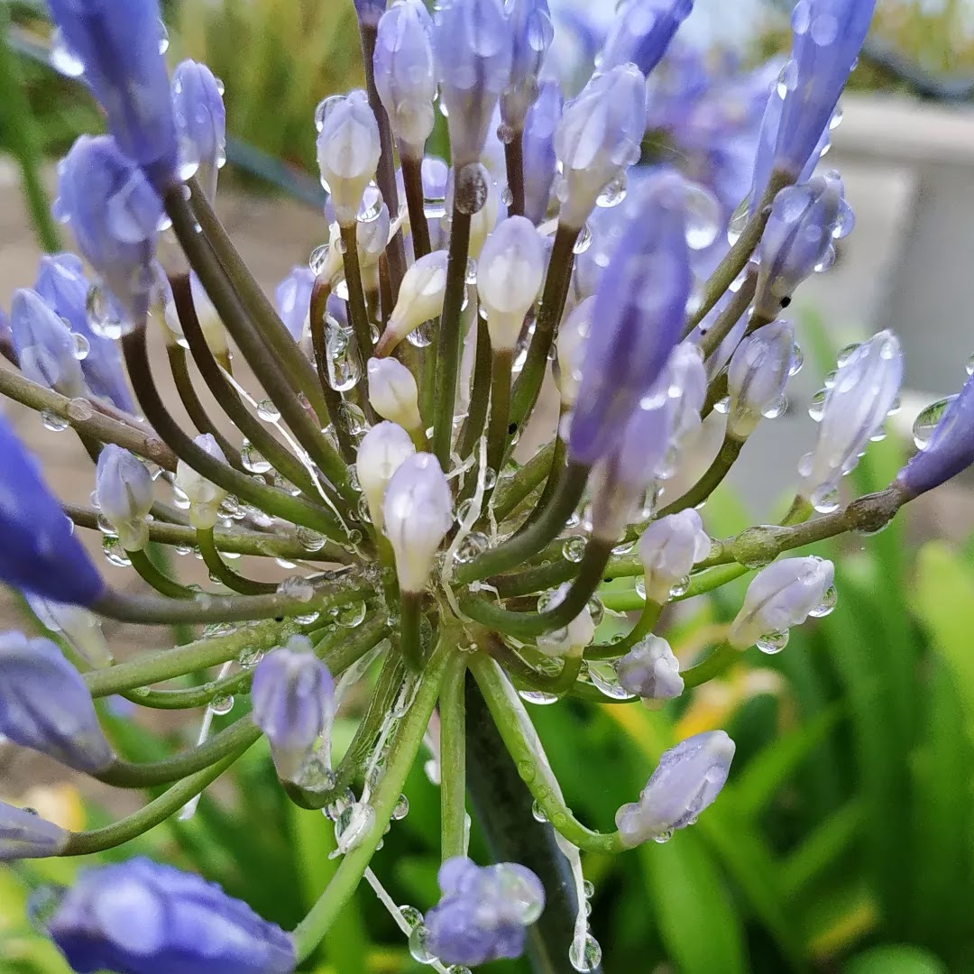 Photo n° 10 de l'avis de Helene.o fait le 23/05/2022 à 18:49