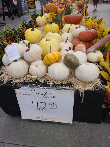 Home Improvement Store «The Home Depot», reviews and photos, 1524 E Brandon Blvd, Brandon, FL 33511, USA