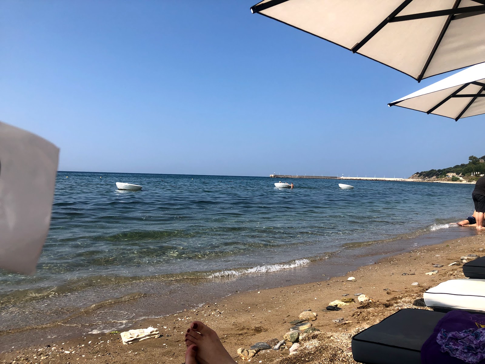 Alexandroupolis Port beach的照片 带有碧绿色水表面
