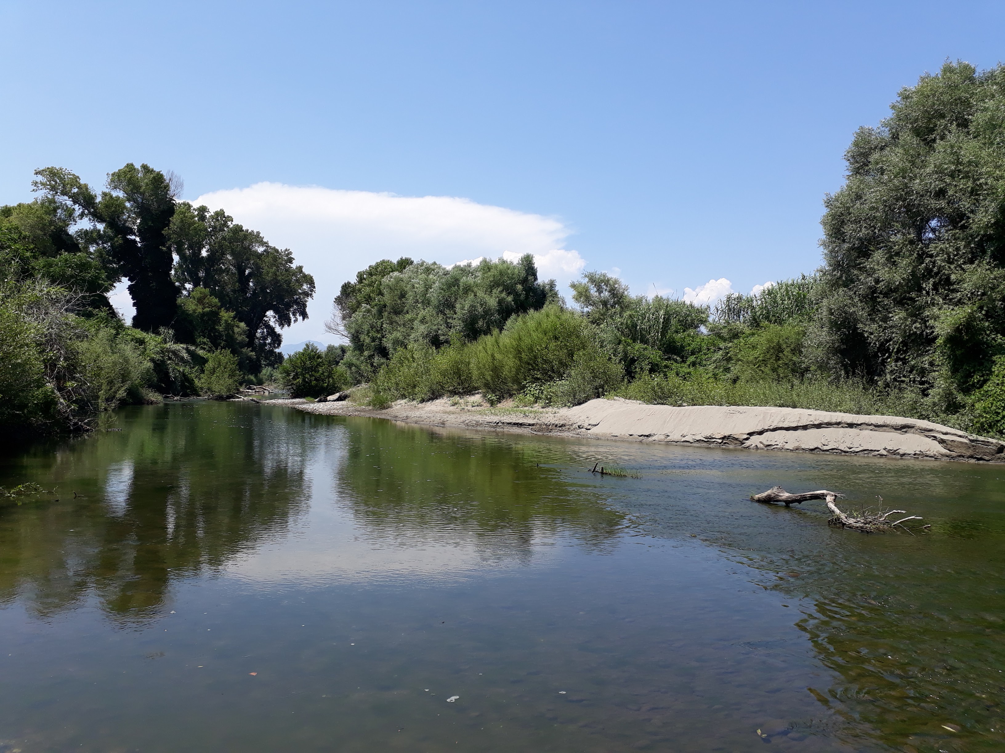 Photo n° 2 de l'avis de Giachem.n fait le 05/07/2019 à 07:04