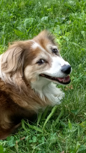 Art Museum «Brooklyn Museum», reviews and photos, 200 Eastern Pkwy, Brooklyn, NY 11238, USA