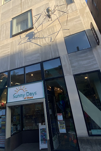 Gift Shop «Sunny Days Of Ithaca», reviews and photos, 123 S Cayuga St, Ithaca, NY 14850, USA