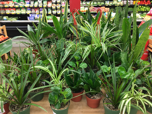 Grocery Store «Grocery Outlet Bargain Market», reviews and photos, 9915 NE Hazel Dell Ave, Vancouver, WA 98685, USA