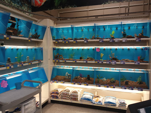 Pet Supply Store «PetSmart», reviews and photos, 1020 Veterans Pkwy #900, Clarksville, IN 47129, USA