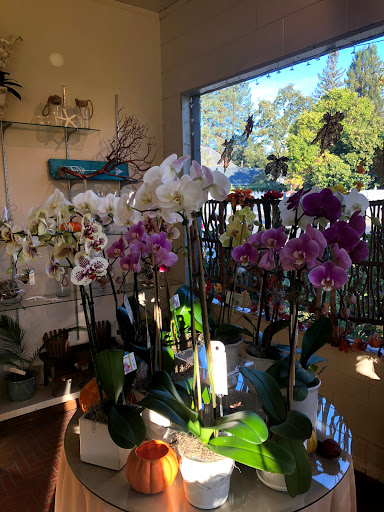 Florist «Grohe Florists», reviews and photos, 1313 McDonald Ave, Santa Rosa, CA 95404, USA