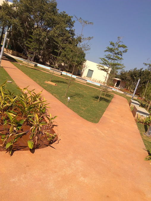 Google Maps image 17