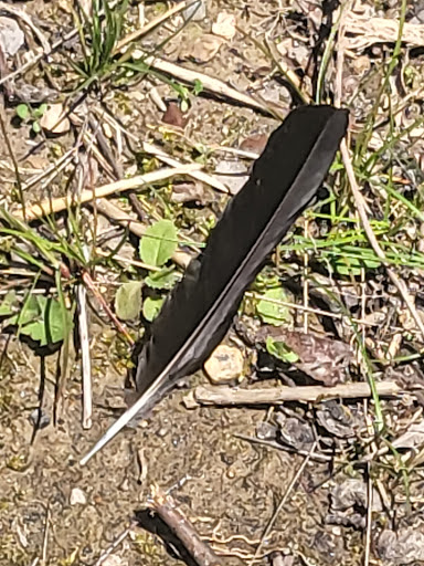 Tourist Attraction «Heflin Park», reviews and photos, 4323 W 700 N, Edinburgh, IN 46124, USA