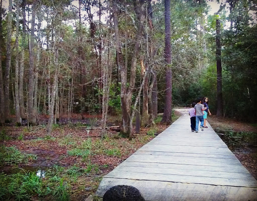 Park «Telge Park», reviews and photos, 12400 Pleasant Grove Rd, Cypress, TX 77429, USA