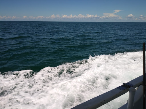 Fishing Charter «Miss Virginia Deep Sea Fishing», reviews and photos, 7847 Bayview St, Port Richey, FL 34668, USA