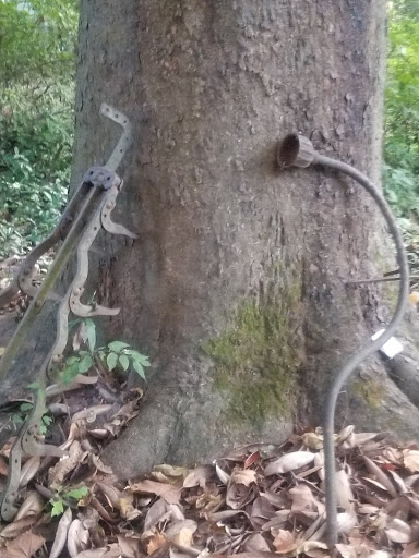 Tourist Attraction «McRaven Tour Home», reviews and photos, 1445 Harrison St, Vicksburg, MS 39180, USA