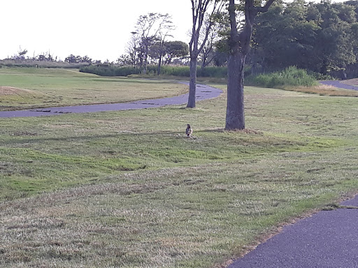 Golf Course «West Sayville Golf Course», reviews and photos, 200 Montauk Highway, West Sayville, NY 11796, USA