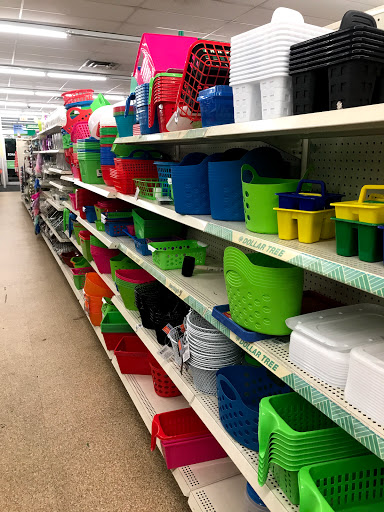 Dollar Store «Dollar Tree», reviews and photos, 8634 Baymeadows Rd, Jacksonville, FL 32256, USA