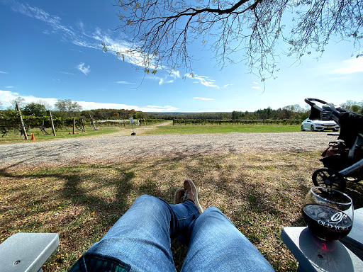 Winery «Old York Cellars», reviews and photos, 80 Old York Rd, Ringoes, NJ 08551, USA