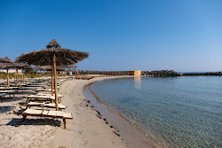 Spiaggia Torre Guaceto'in fotoğrafı biraz temiz temizlik seviyesi ile