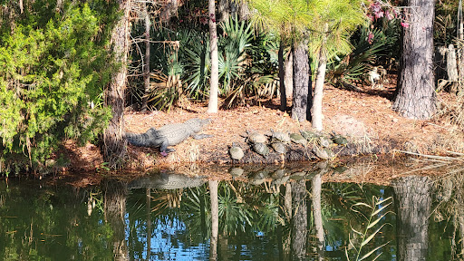 Golf Course «Charleston National Golf Club», reviews and photos, 1360 National Dr, Mt Pleasant, SC 29466, USA