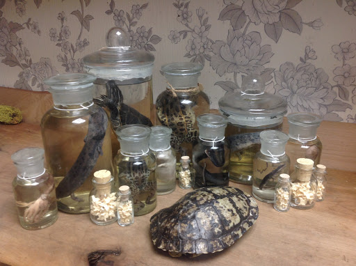 Gift Shop «Natural Selection», reviews and photos, 39 St Lawrence Ave, Reno, NV 89509, USA