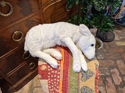 Florist «Flowers & Found Objects», reviews and photos, 521 E Las Olas Blvd, Fort Lauderdale, FL 33301, USA