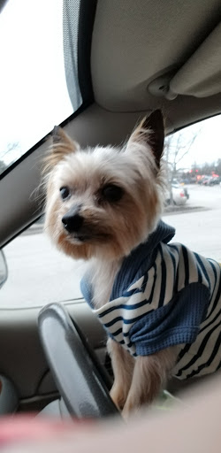 Pet Supply Store «Petco Animal Supplies», reviews and photos, 2714 Mountaineer Blvd, Charleston, WV 25309, USA