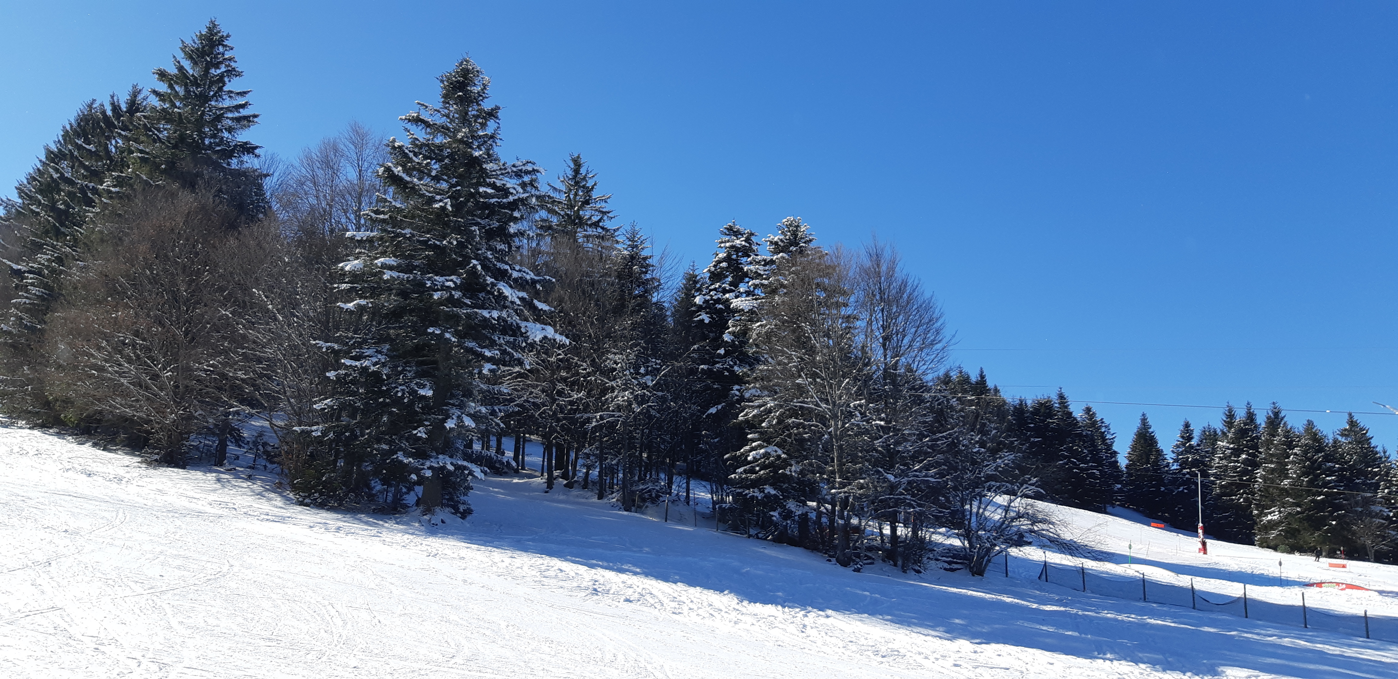 Photo n° 21 de l'avis de Patricia.t fait le 24/12/2017 à 19:48