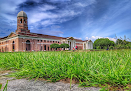 Forest Research Institute (Fri)