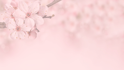 Cherry Blossom Doulas Inc.