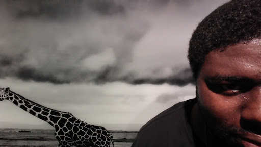 Art Gallery «National Geographic | Fine Art Galleries», reviews and photos, 607 E Las Olas Blvd, Fort Lauderdale, FL 33301, USA