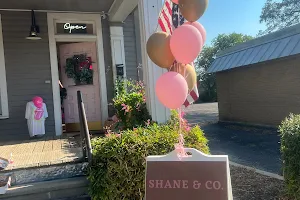 Shop Shane & Co. Boutique image