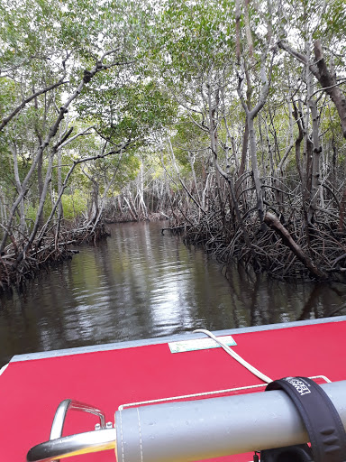 Nature Preserve «Big Cypress National Preserve», reviews and photos