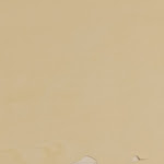 Photo n°1 de l'avis de Lino.a fait le 27/04/2023 à 22:03 sur le  Hotel Rigel à Venice