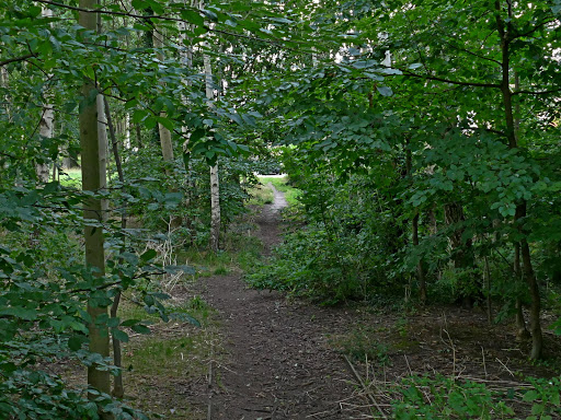 Fishponds Wood and Beech Grove