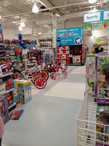 Toy Store «Toys