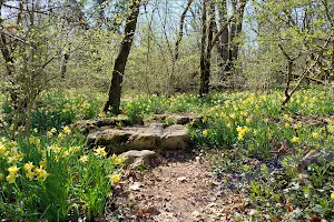 Jonquilles Natural Park image