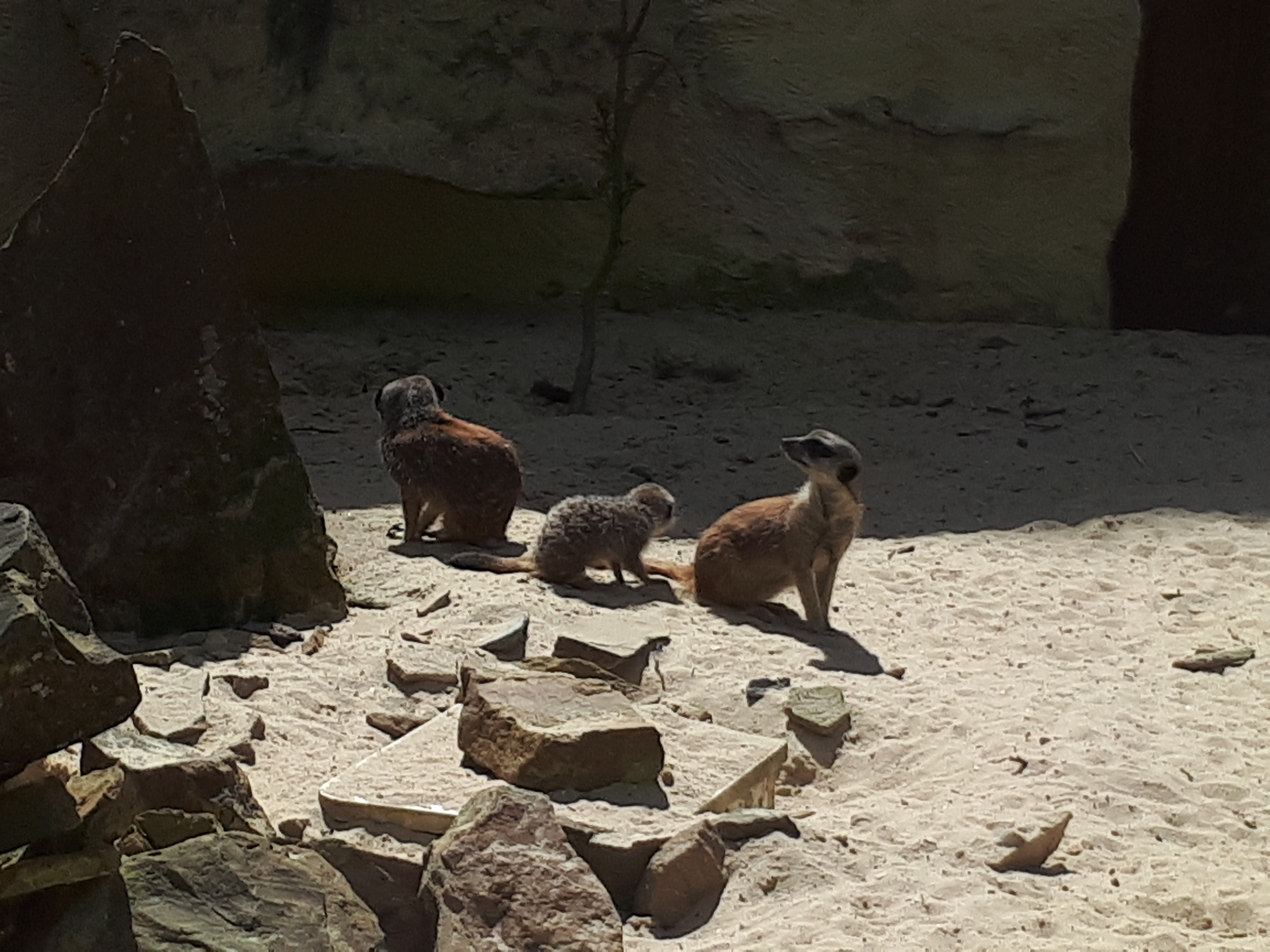 Photo n° 9 de l'avis de Morgane.r fait le 07/05/2018 à 21:00