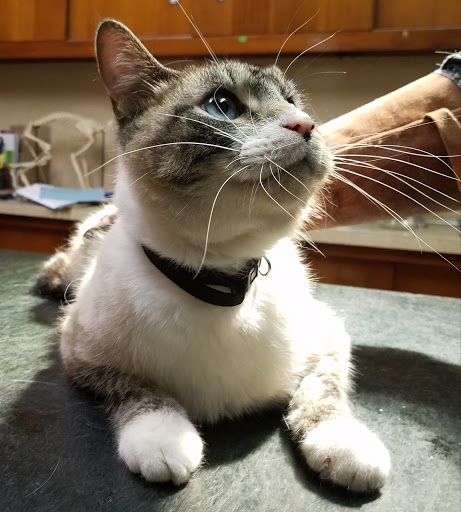 5220 Peachtree Industrial Blvd, Chamblee, GA 30341, USA