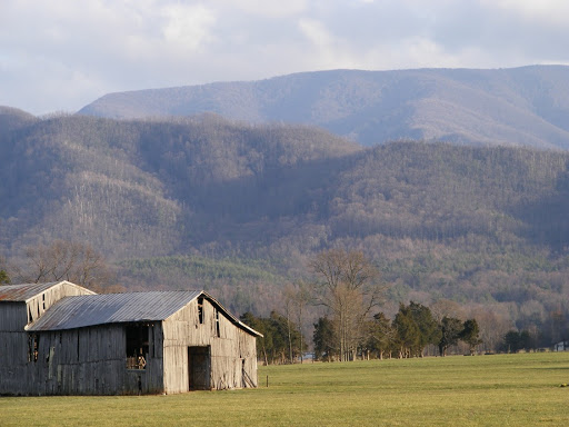 Insurance Agency «Community Insurance», reviews and photos