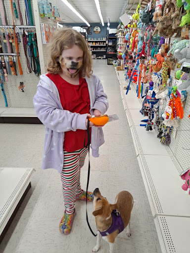 Pet Store «PetSmart», reviews and photos, 213 Greenville Hwy, Hendersonville, NC 28792, USA