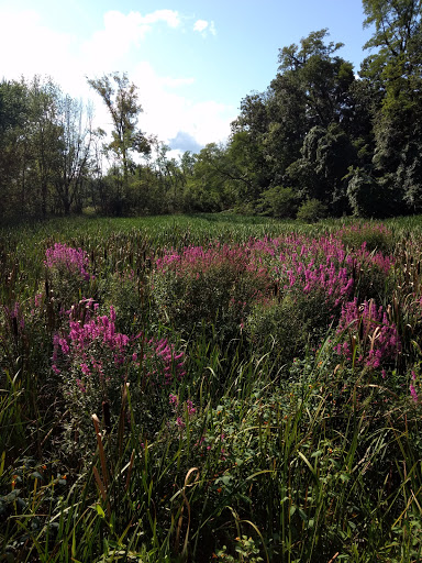 Nature Preserve «Great Flats Nature Trail», reviews and photos, W Campbell Rd, Schenectady, NY 12306, USA