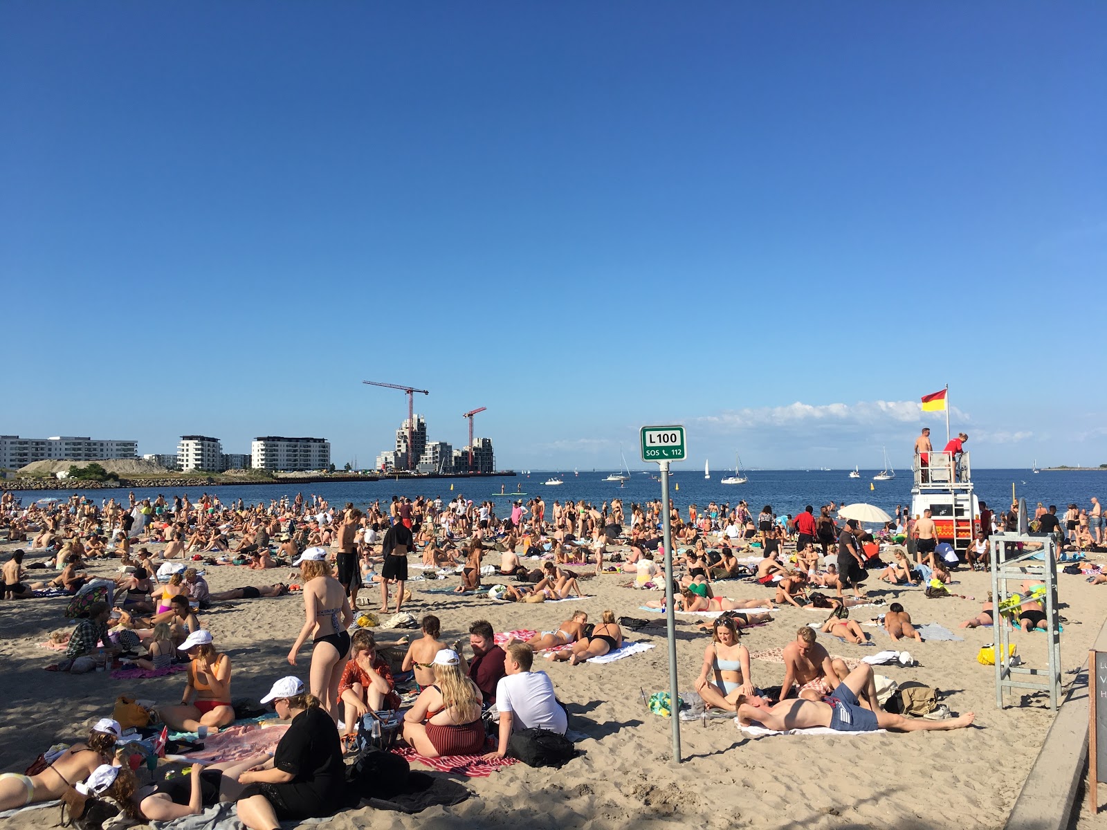 Svanemolle Beach photo #8