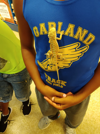 Pet Supply Store «PetSmart», reviews and photos, 6204 W Park Blvd, Plano, TX 75093, USA