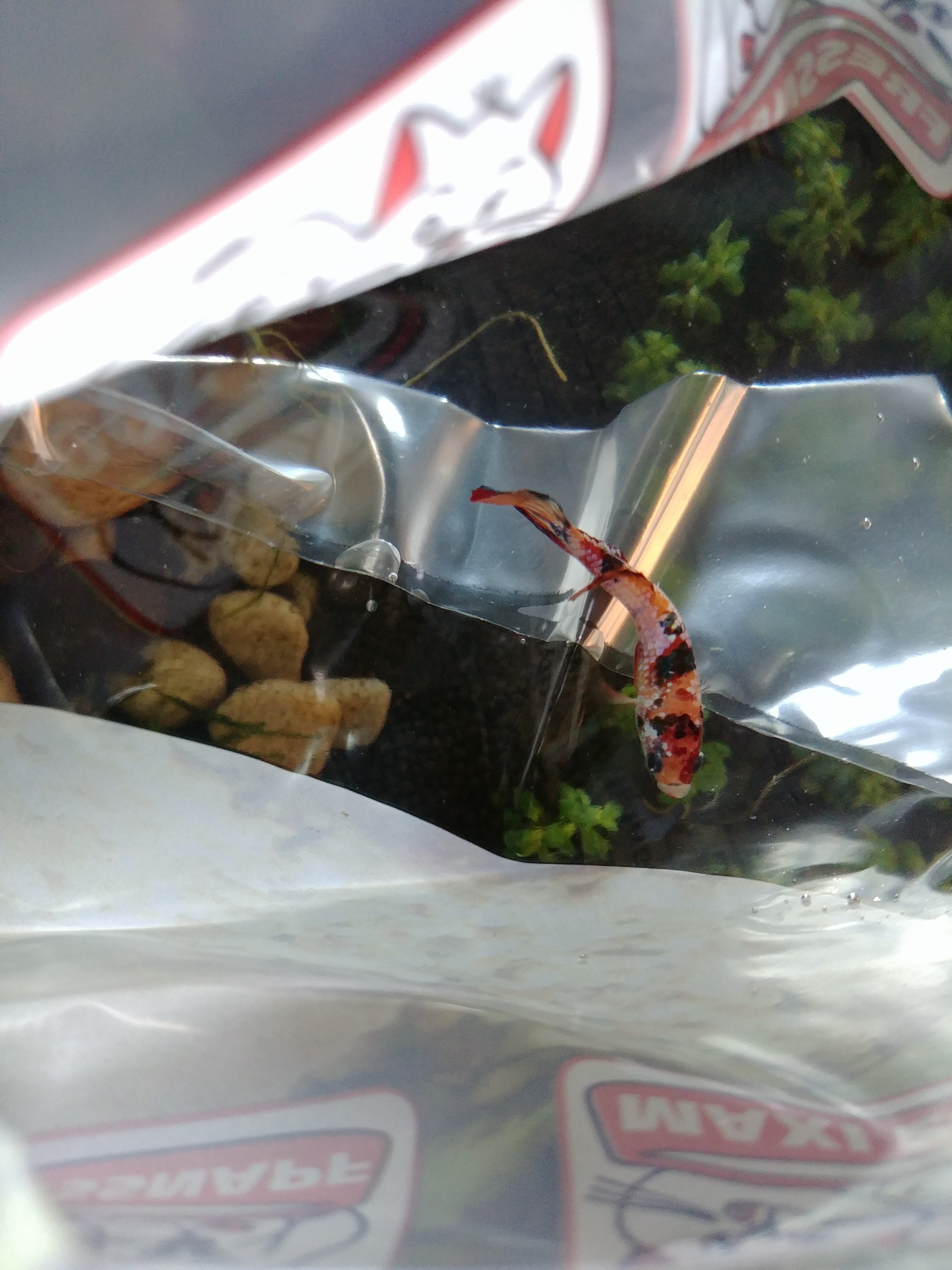 Photo n° 1 de l'avis de gaël.i fait le 14/05/2020 à 17:59
