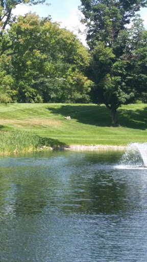 Insurance Agency «Selective Insurance Group Inc», reviews and photos