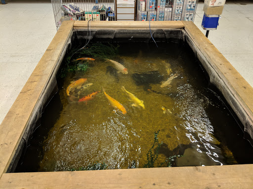 Pet Store «Pet World Warehouse Outlet», reviews and photos, 2148 W Beltline Hwy, Madison, WI 53713, USA