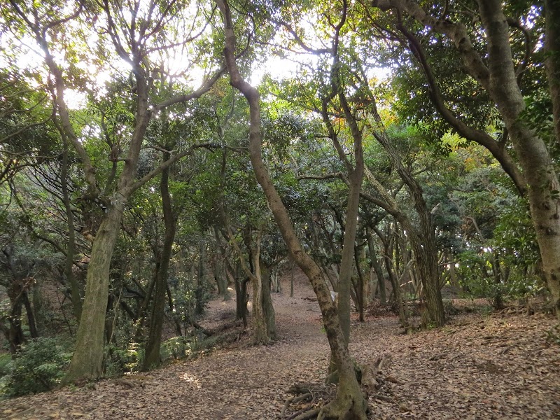 鴻巣山特別緑地保全地区