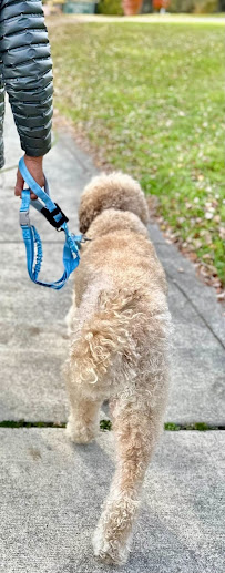 ComPAWdre - Photo 9 - Car repair in Baltimore, MD, Baltimore