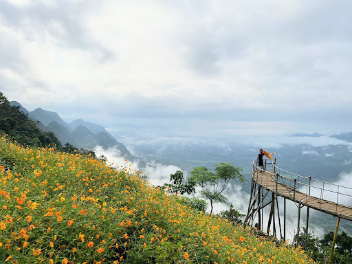 Top 20 cửa hàng ainosofia Huyện Mai Châu Hòa Bình 2022