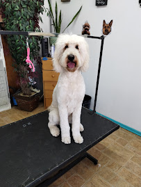 Haney’s Hound House - Photo 2 - Car repair in Yakima, WA, Yakima