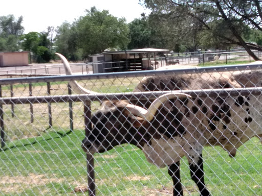 Thunderbird Mobile Home Park