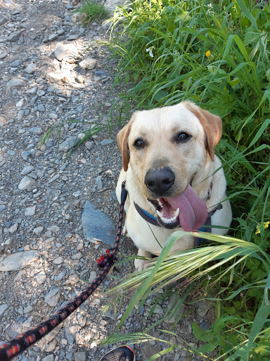 Centro Veterinario Costapet (Costapet, S.l.) en La Cala de Mijas