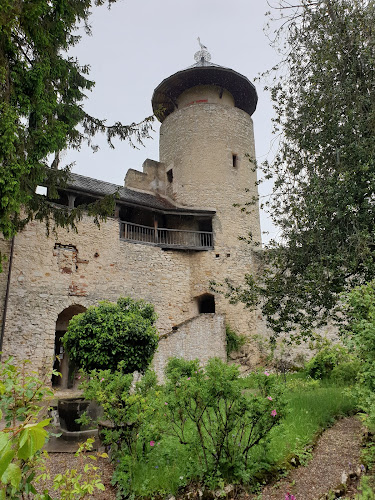 Burg Birseck - Pratteln